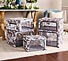 Periea Set of 5 Collapsible Storage Box Collection