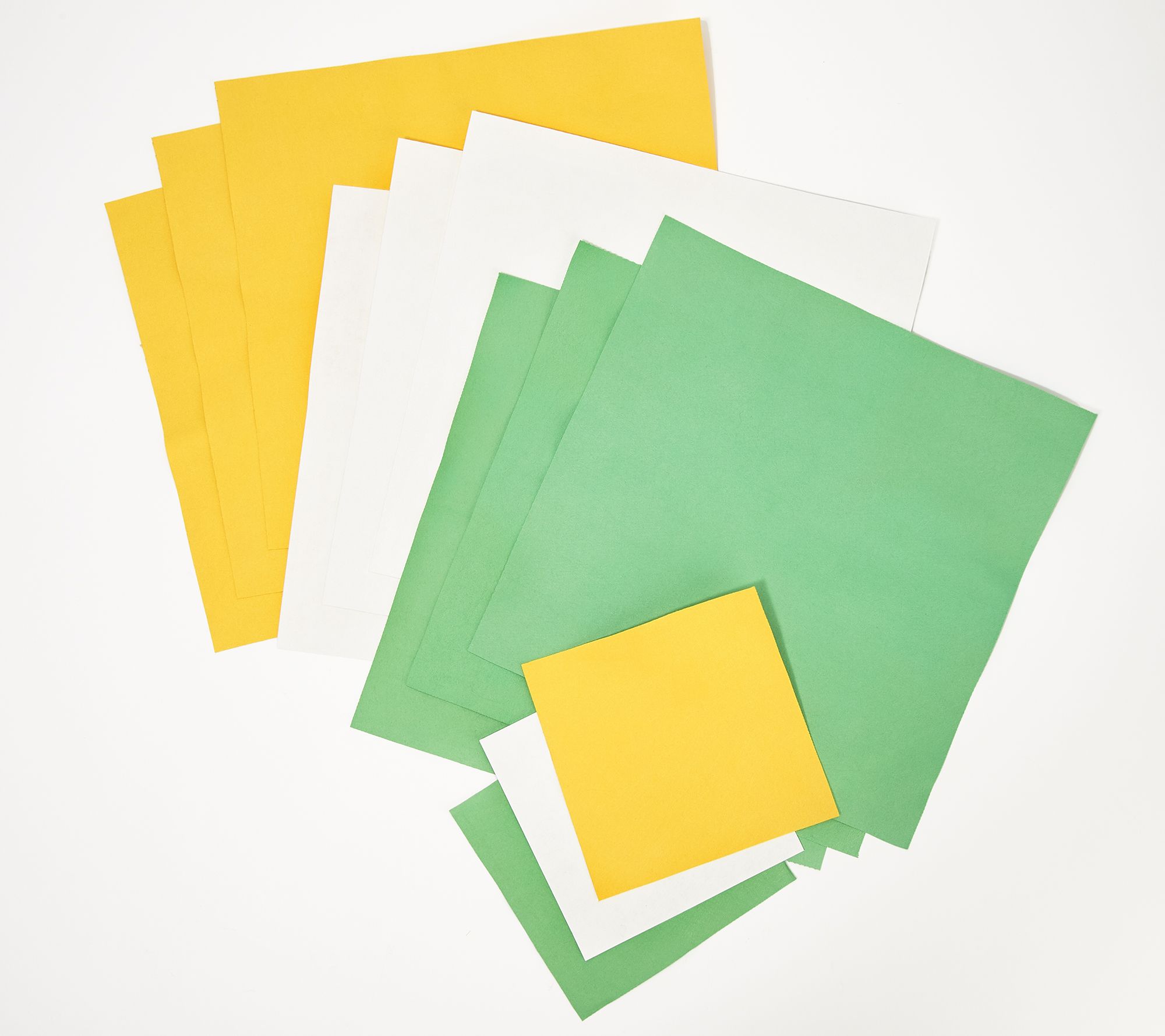 Bio Cleaner Set of 12 StreakFree Assorted Cleaning Cloths