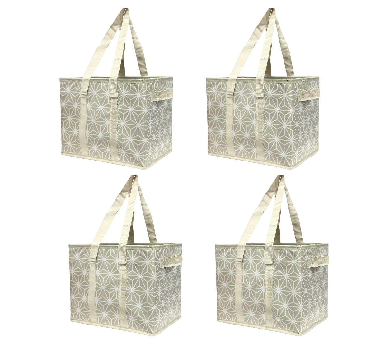 Durasack Set of 4 Small 13" Collapsible Storage Totes